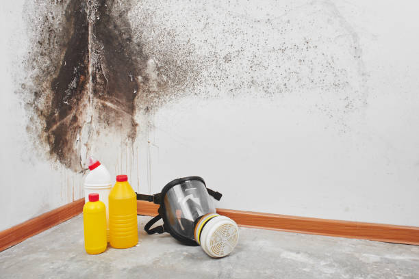 Mold Testing and Removal in Richfield, WI