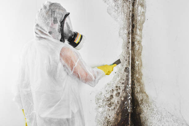 Best Mold Cleaning Services  in Richfield, WI