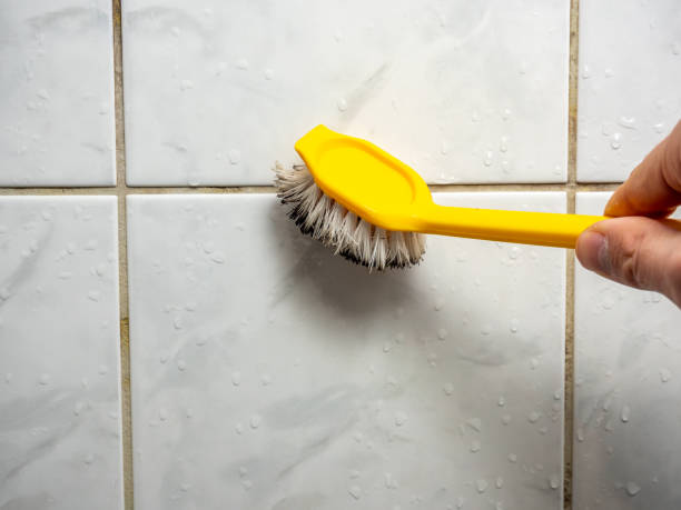 Best Fast Mold Removal  in Richfield, WI