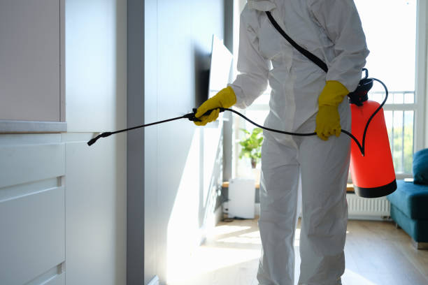 Best Professional Mold Removal  in Richfield, WI