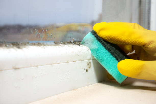 Best Mold Removal and Inspection  in Richfield, WI