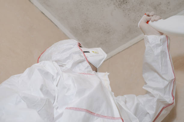 Best Black Mold Removal  in Richfield, WI