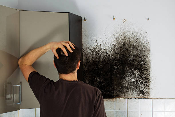 Best Emergency Mold Removal  in Richfield, WI