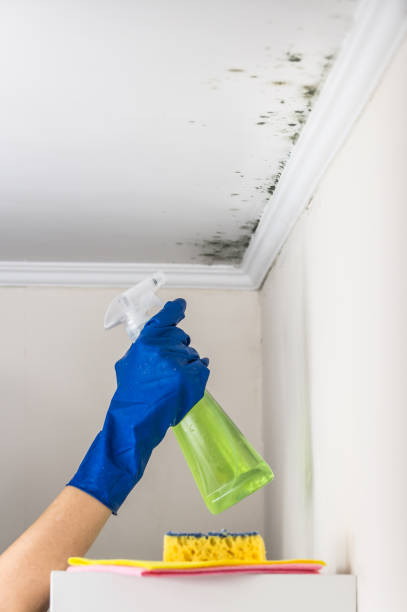 Best Office Mold Removal Services  in Richfield, WI